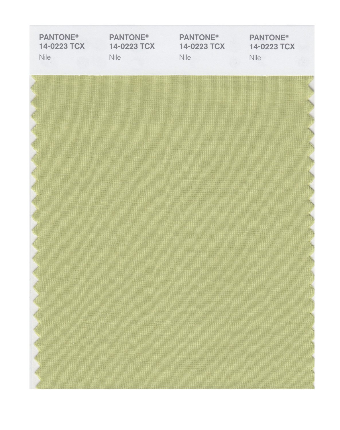 Pantone Cotton Swatch 14-0223 Nile