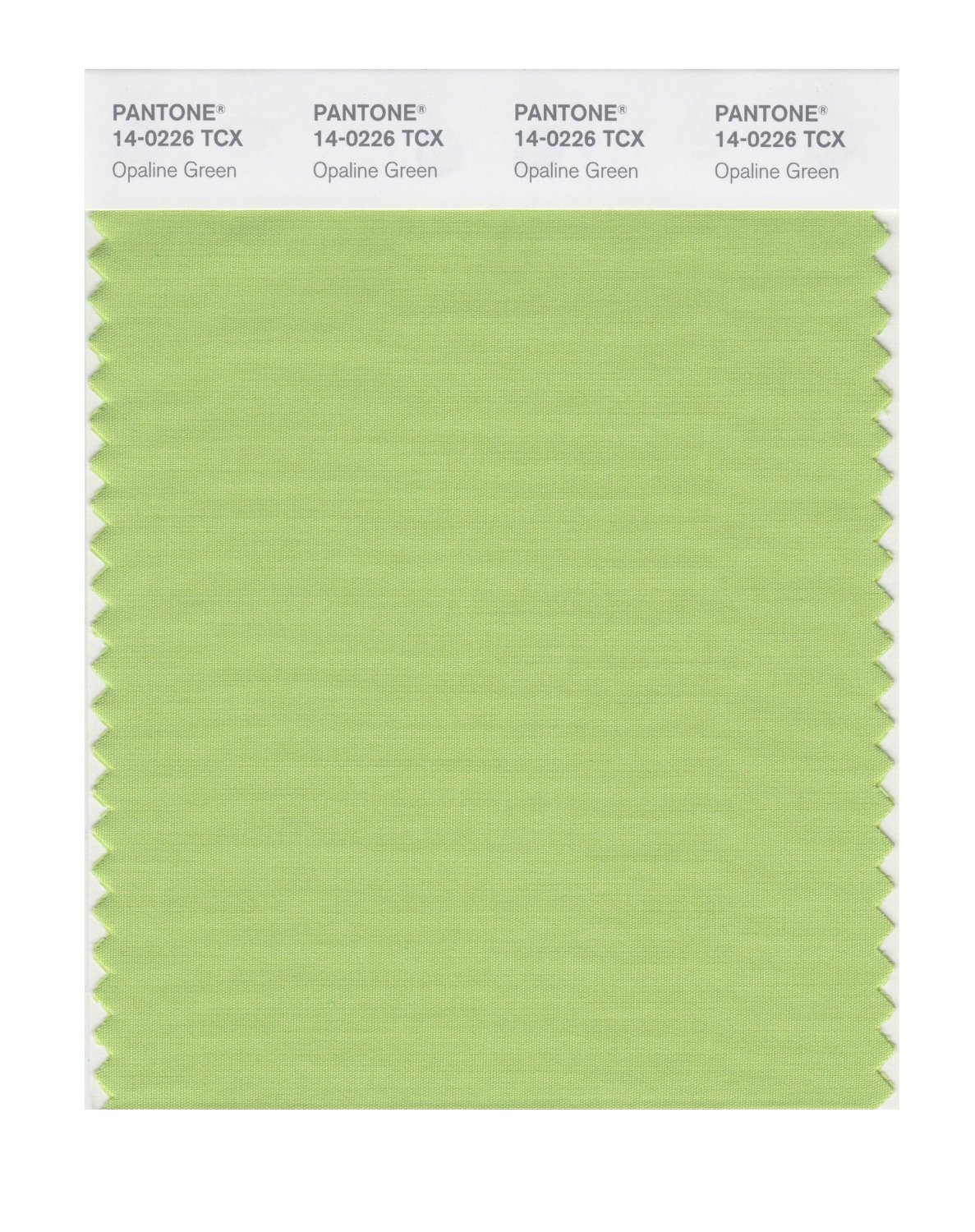 Pantone Cotton Swatch 14-0226 Opaline Green