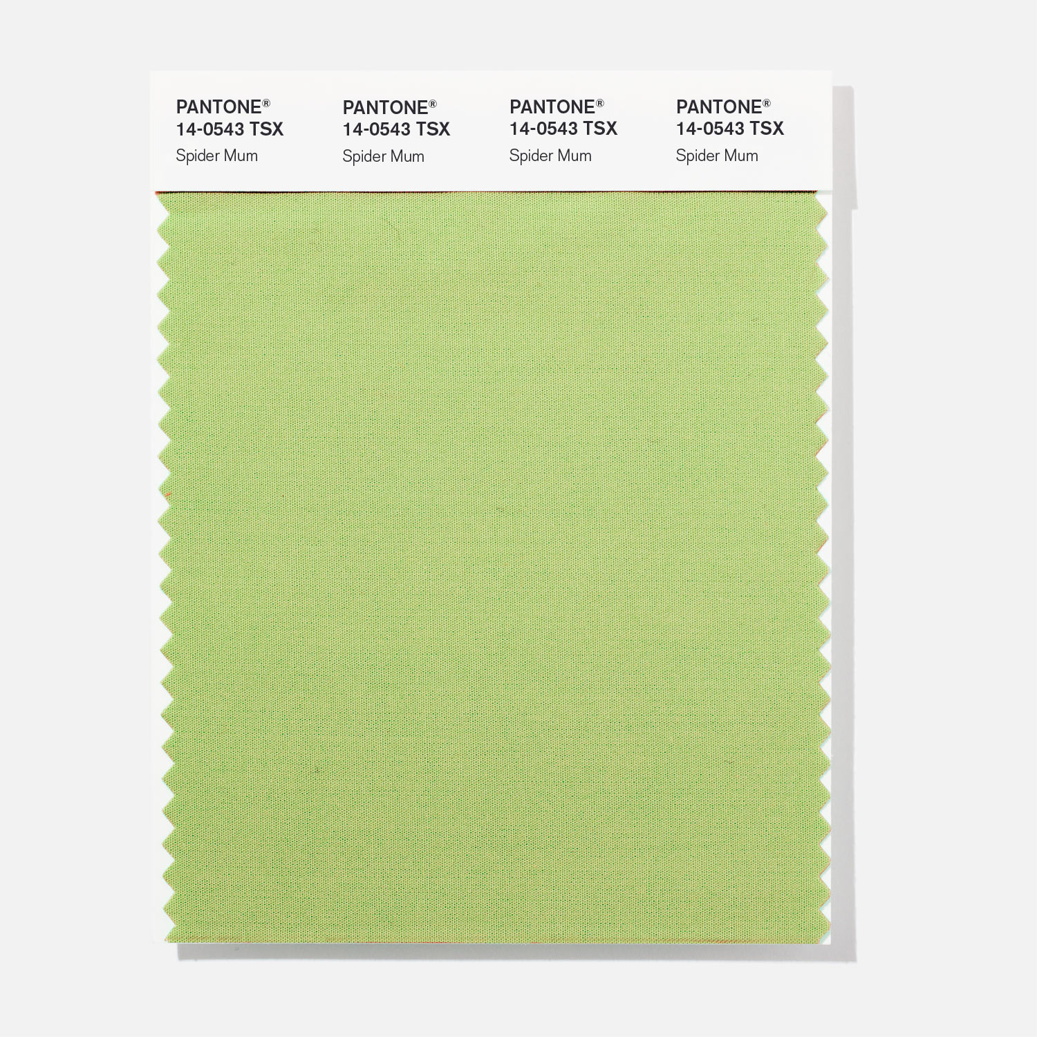 Pantone Polyester Swatch 14-0543 Spider Mum