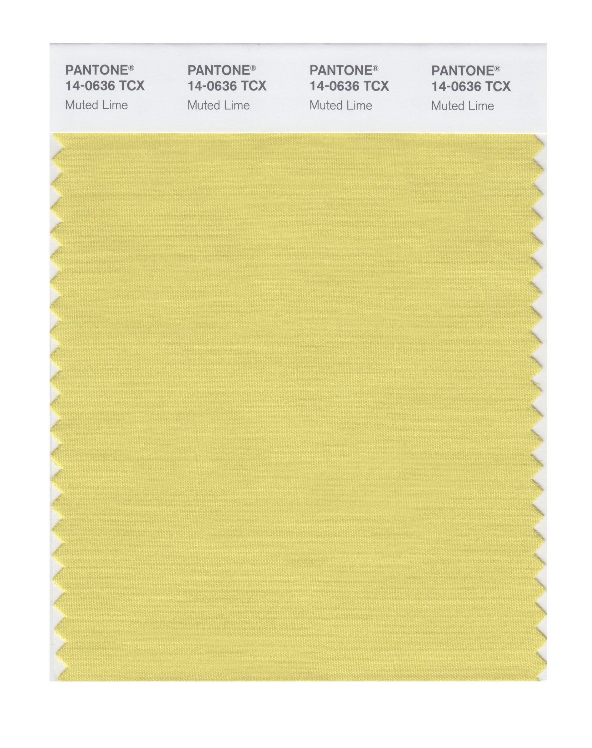 Pantone Cotton Swatch 14-0636 Muted Lime