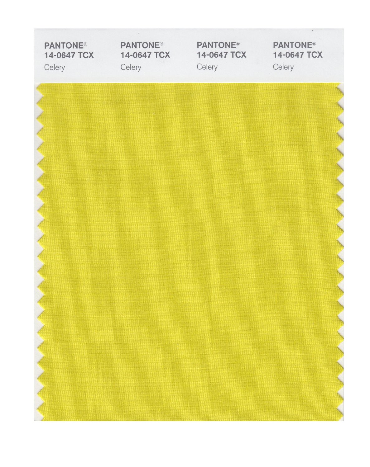 Pantone Cotton Swatch 14-0647 Celery