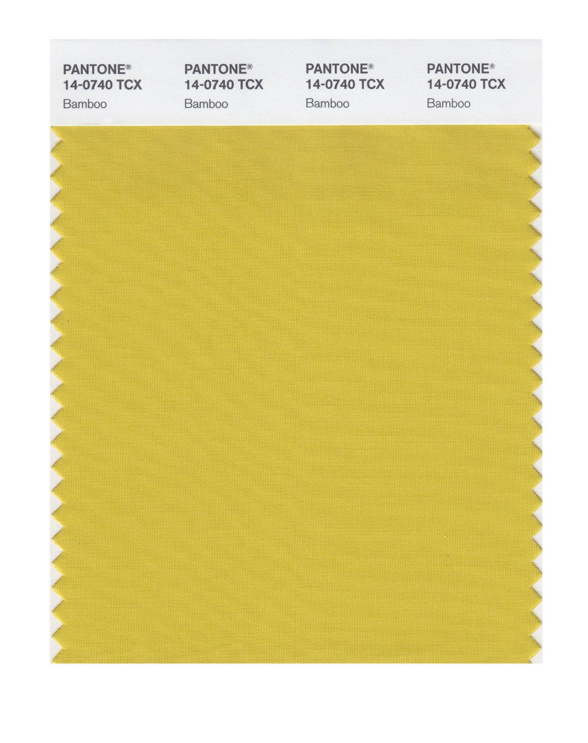 Pantone Cotton Swatch 14-0740 Bamboo