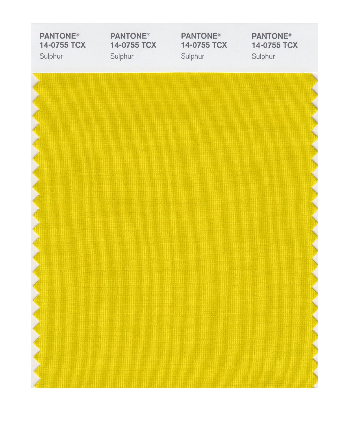 Pantone Cotton Swatch 14-0755 Sulphur