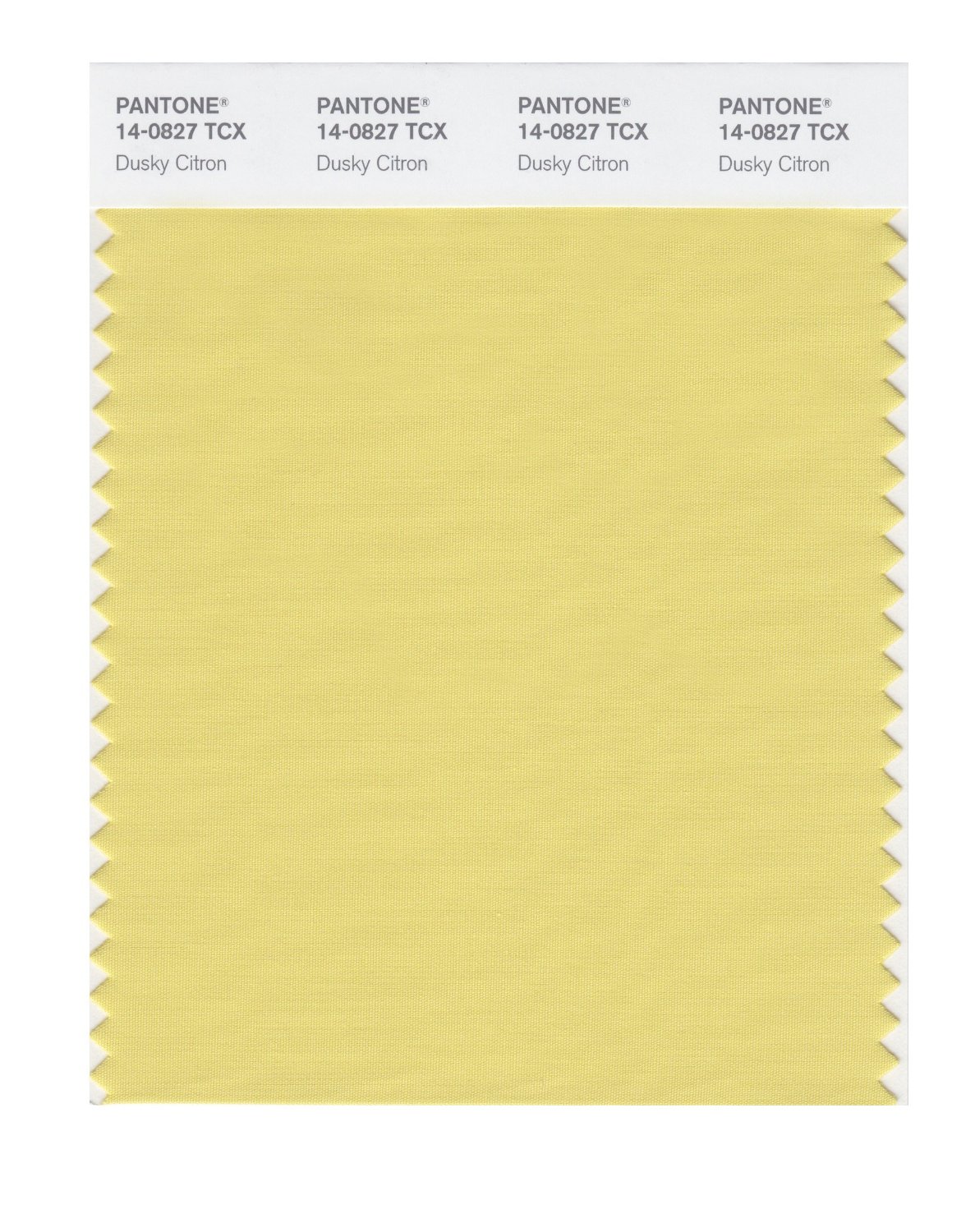 Pantone Cotton Swatch 14-0827 Dusky Citron