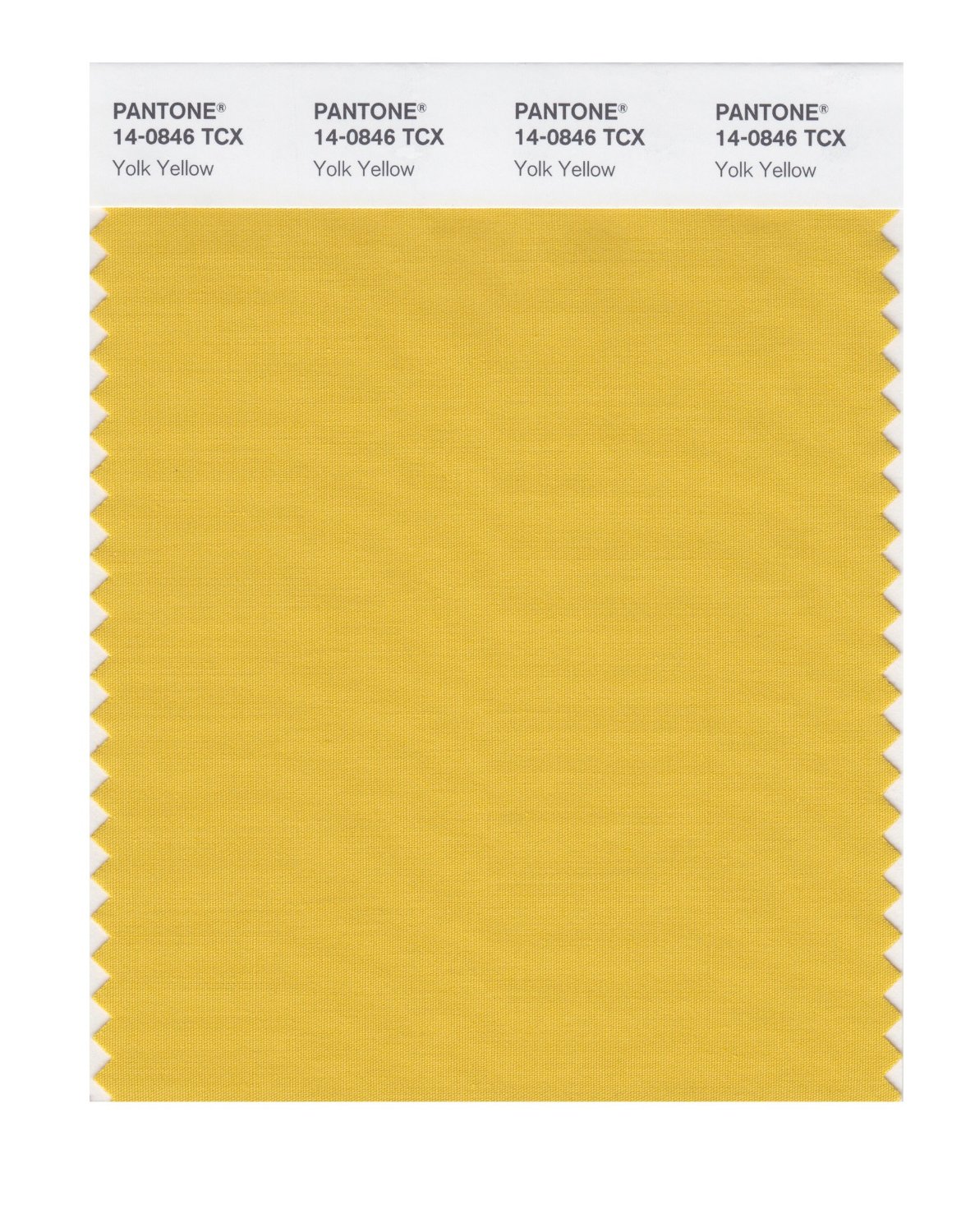 Pantone Cotton Swatch 14-0846 Yolk Yellow