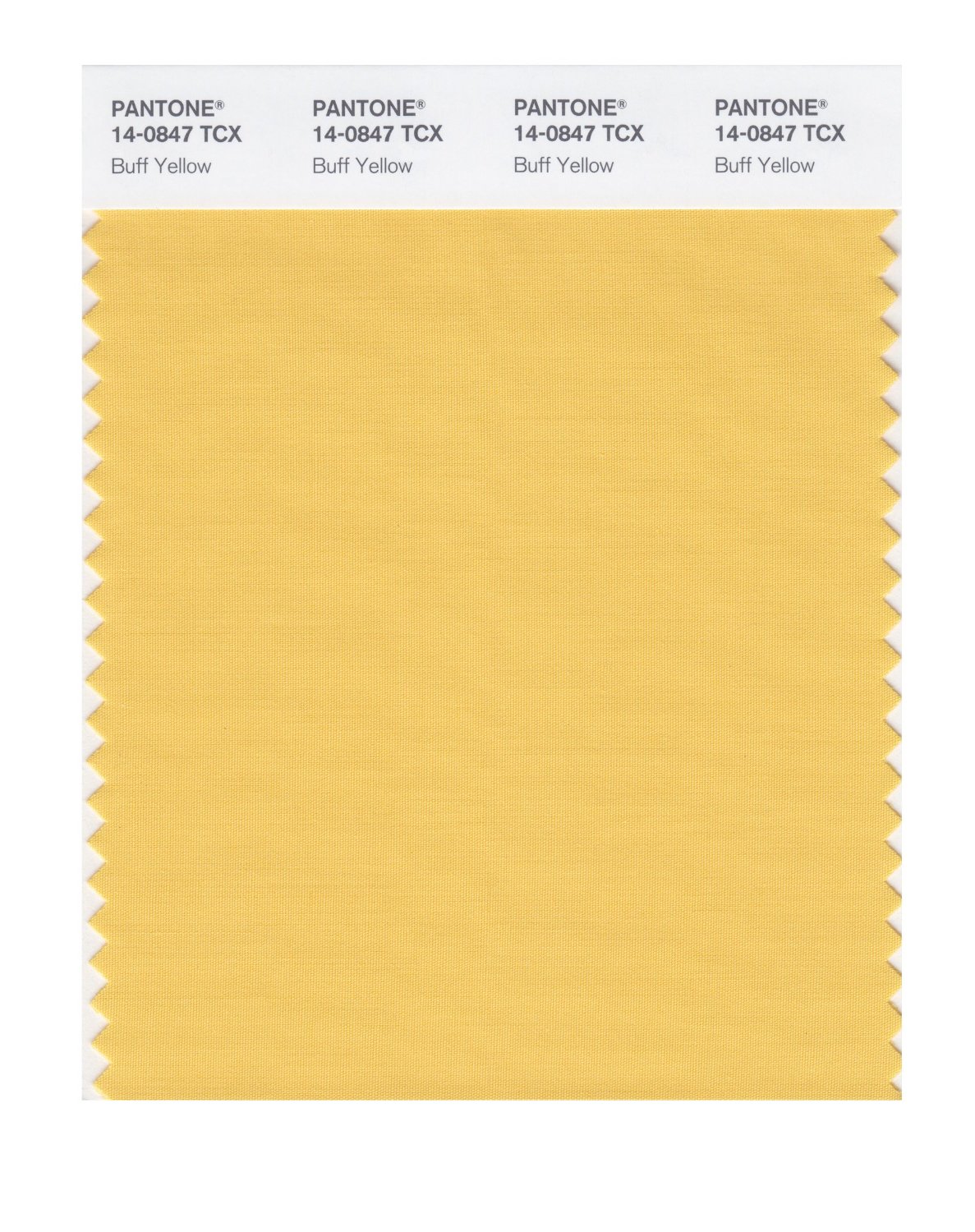 Pantone Cotton Swatch 14-0847 Buff Yellow