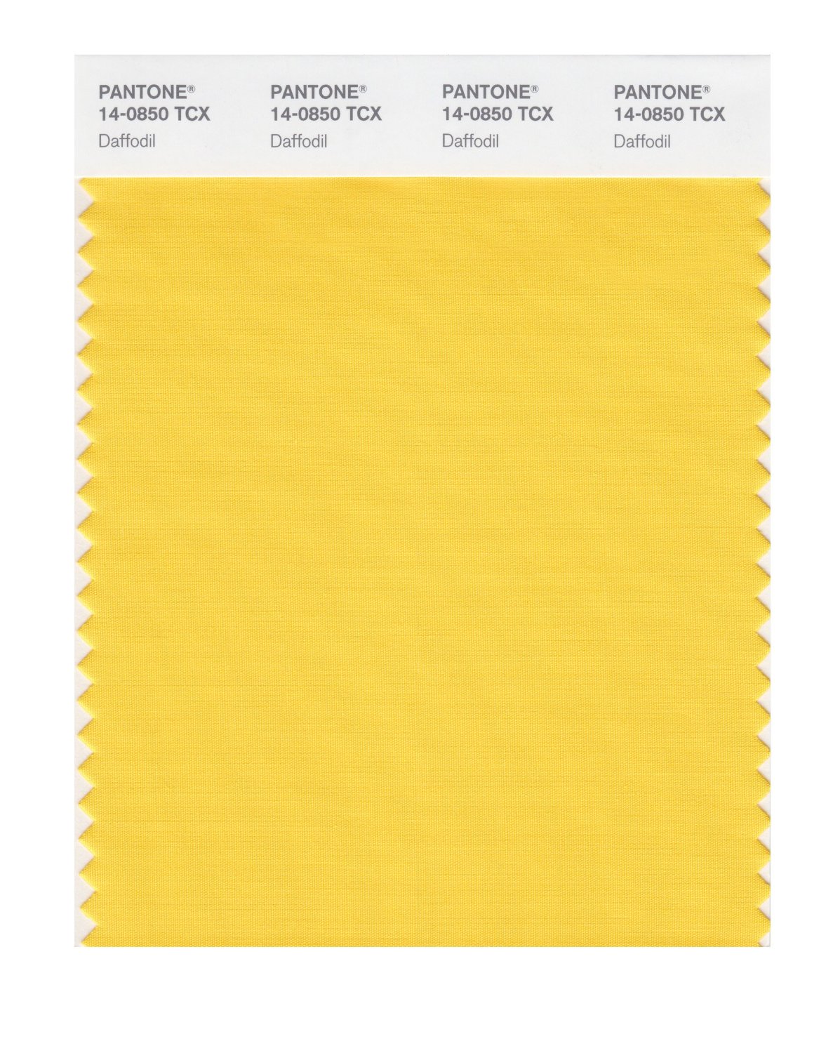 Pantone Cotton Swatch 14-0850 Daffodil