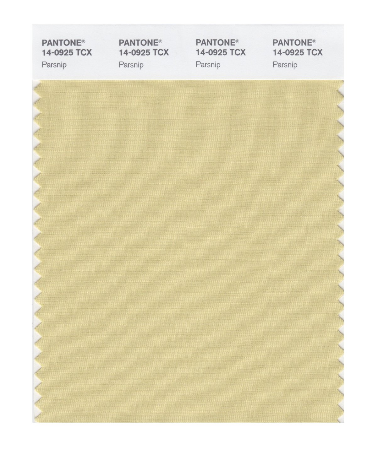 Pantone Cotton Swatch 14-0925 Parsnip