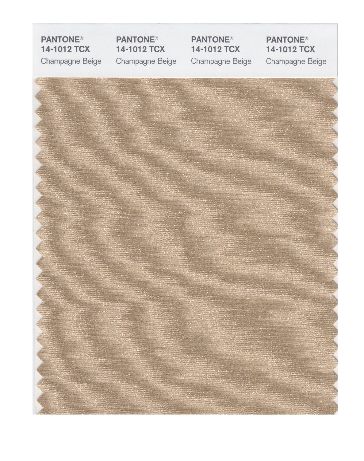 Pantone Cotton Swatch 14-1012 Gilded Beige