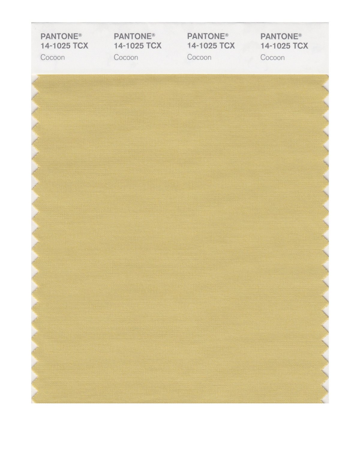 Pantone Cotton Swatch 14-1025 Cocoon