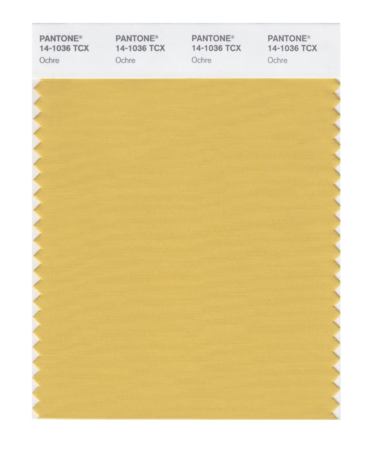 Pantone Cotton Swatch 14-1036 Ochre