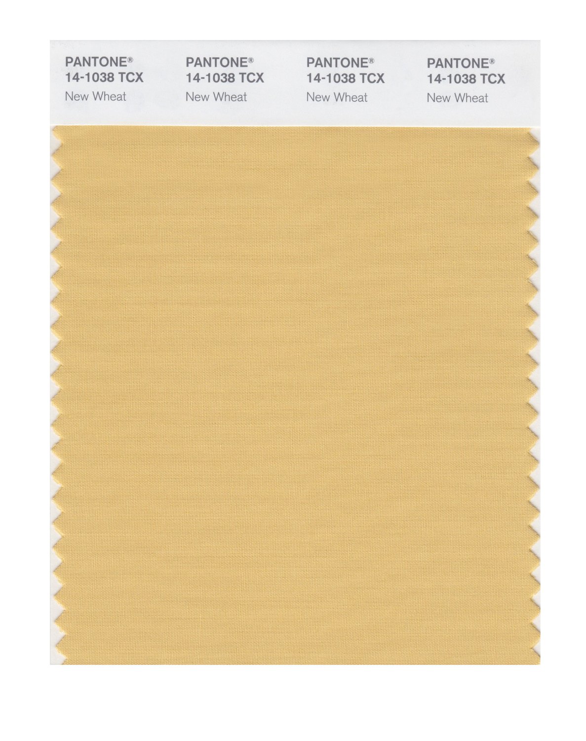 Pantone Cotton Swatch 14-1038 New Wheat