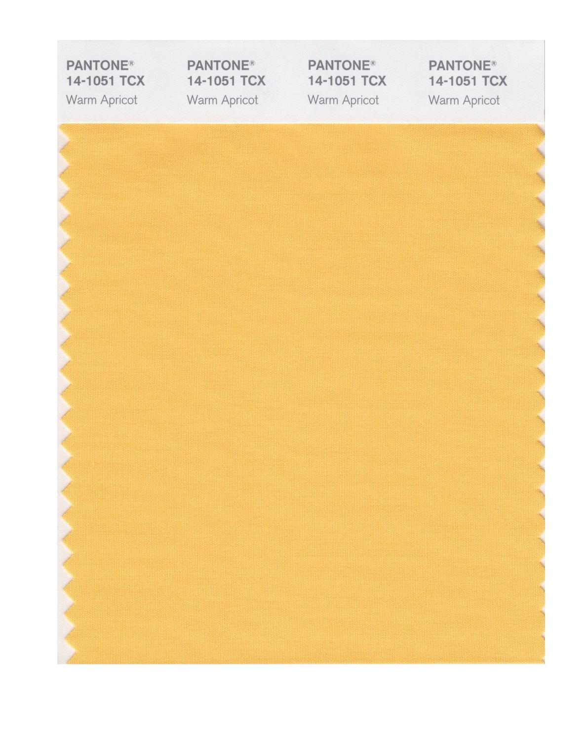 Pantone Cotton Swatch 14-1051 Warm Apricot