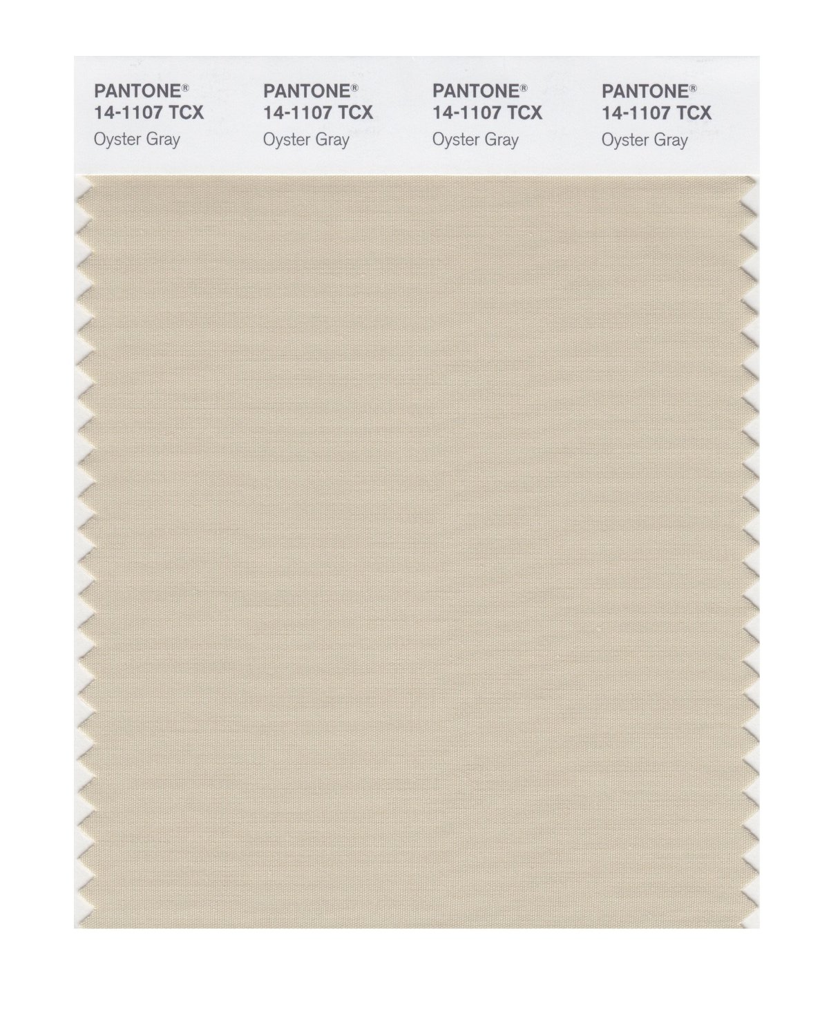 Pantone Cotton Swatch 14-1107 Oyster Gray