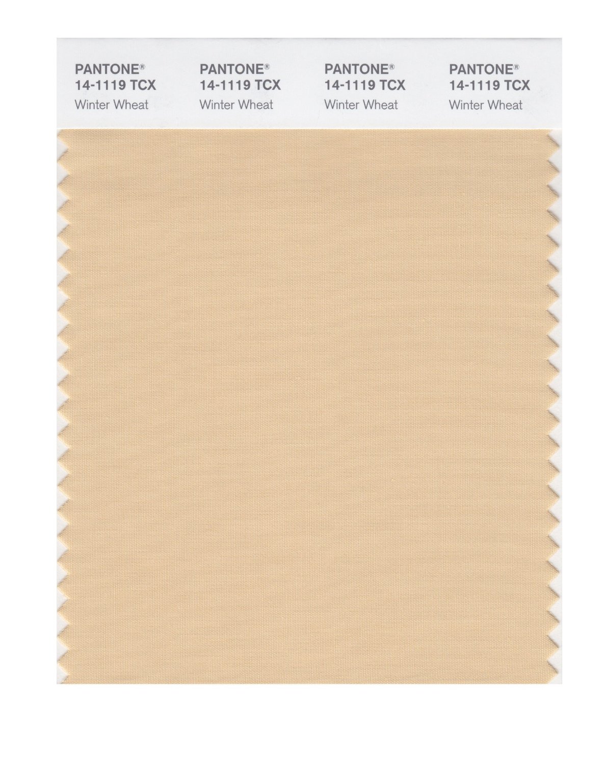 Pantone Cotton Swatch 14-1119 Winter Wheat