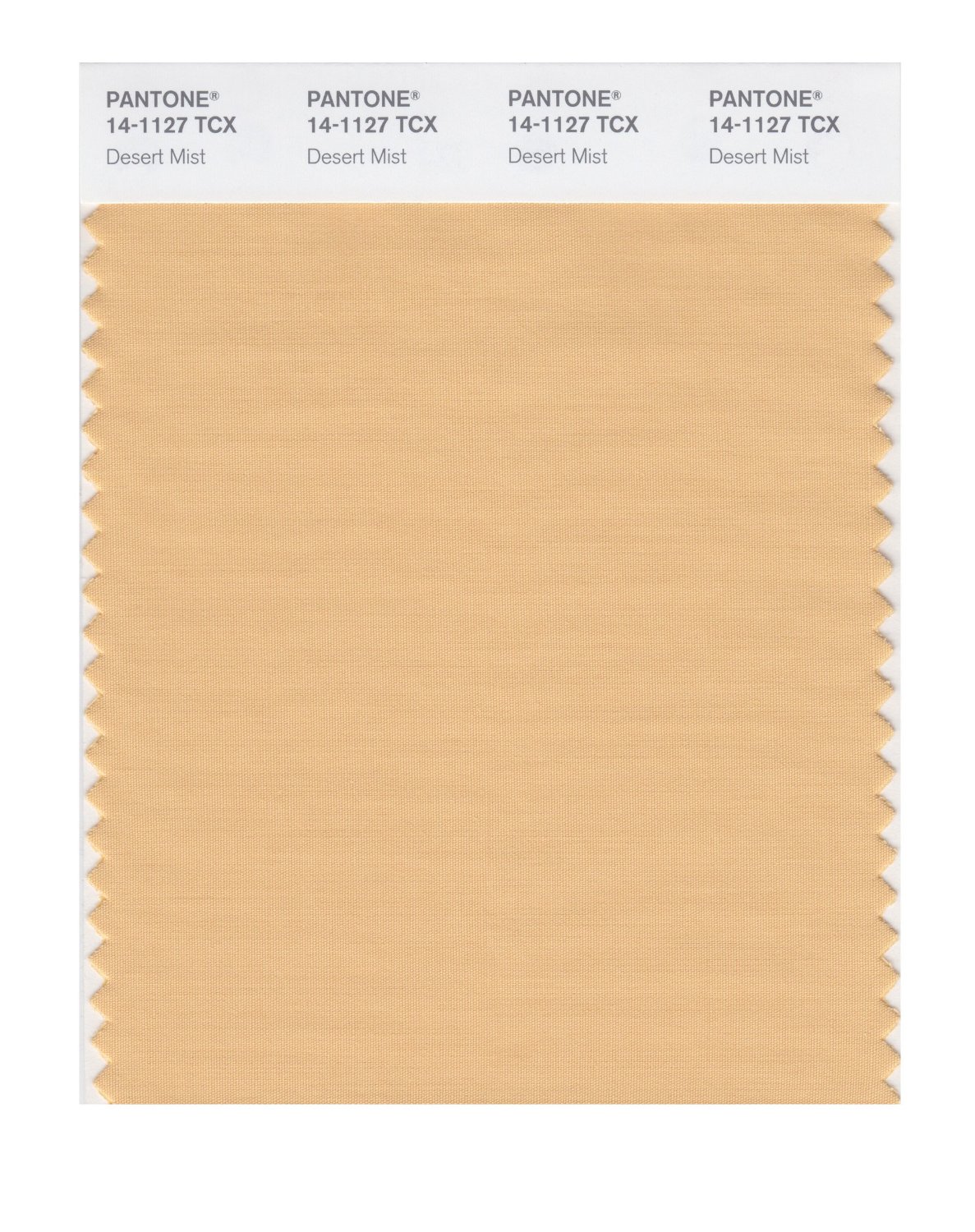 Pantone Cotton Swatch 14-1127 Desert Mist