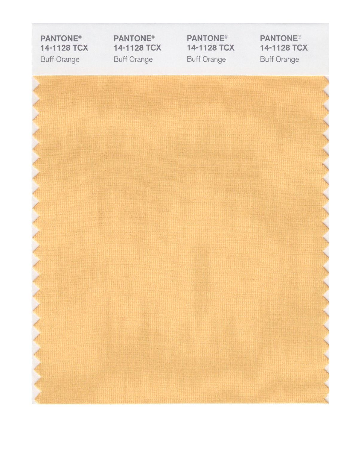 Pantone Cotton Swatch 14-1128 Buff Orange