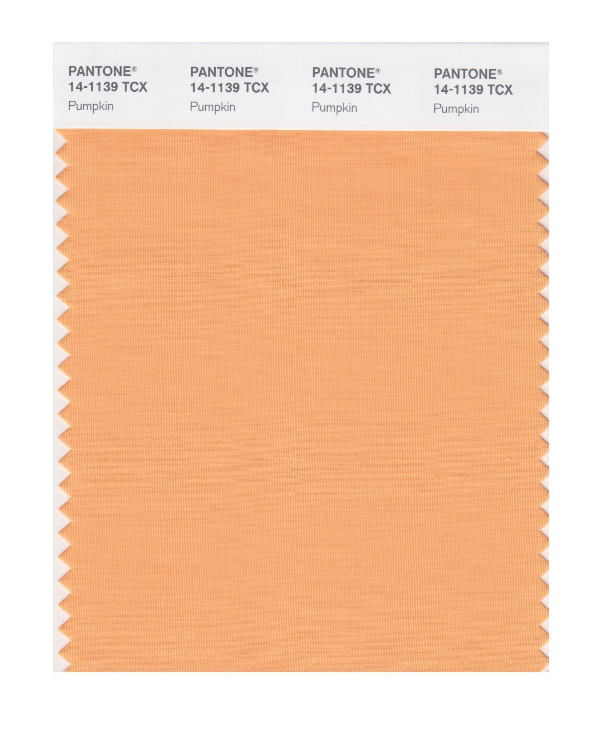 Pantone Cotton Swatch 14-1139 Pumpkin