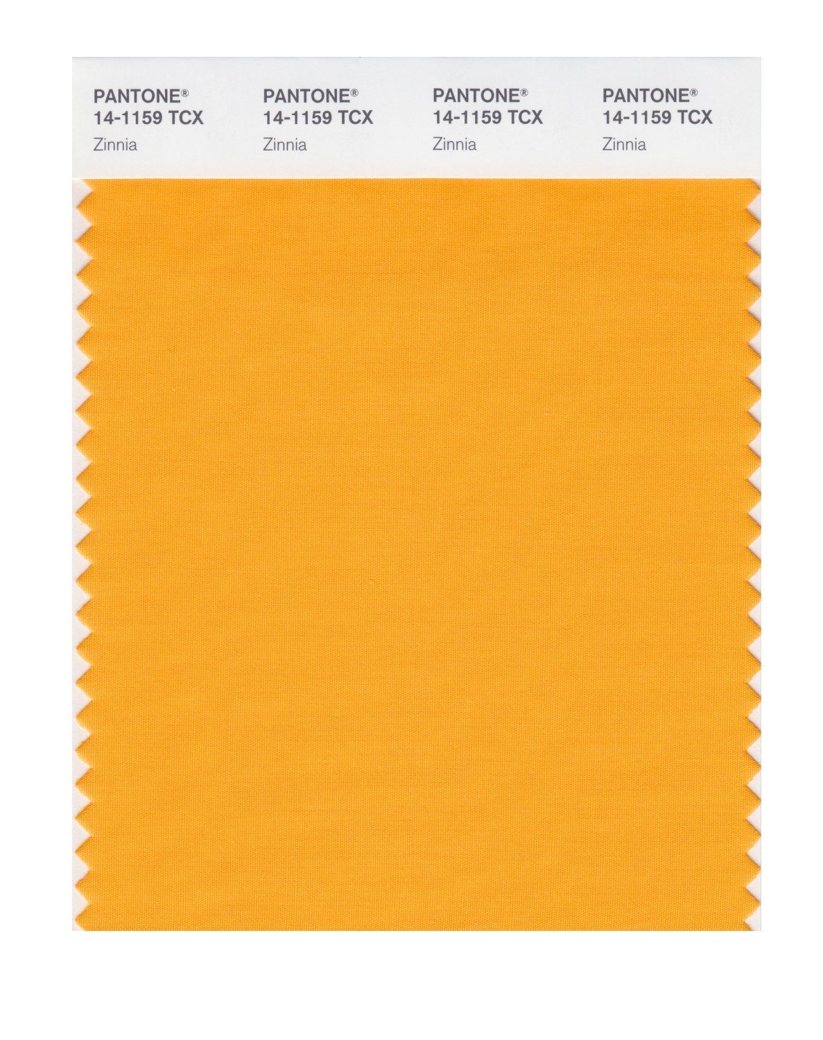 Pantone Cotton Swatch 14-1159 Zinnia