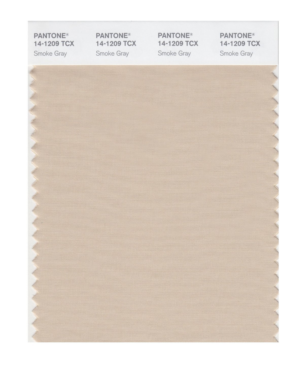 Pantone Cotton Swatch 14-1209 Smoke Gray