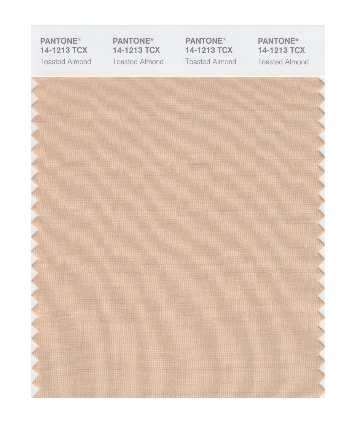 Pantone Cotton Swatch 14-1213 Toasted Almond