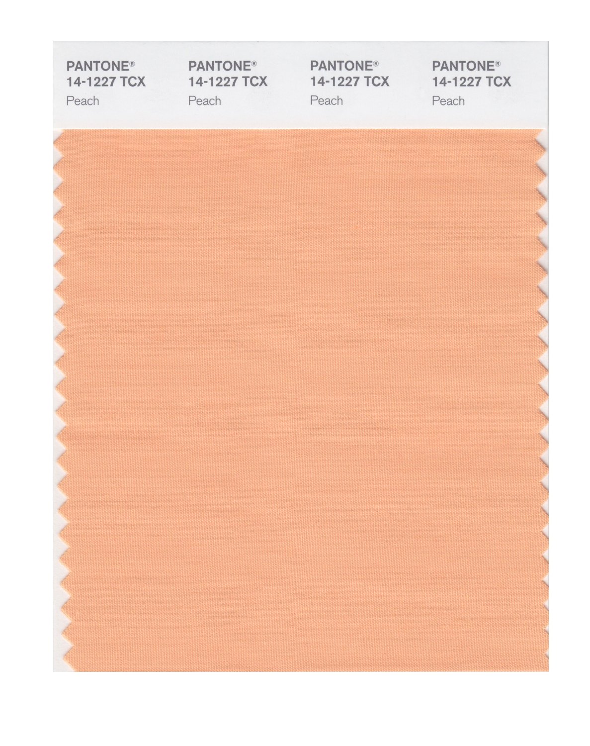 Pantone Cotton Swatch 14-1227 Peach