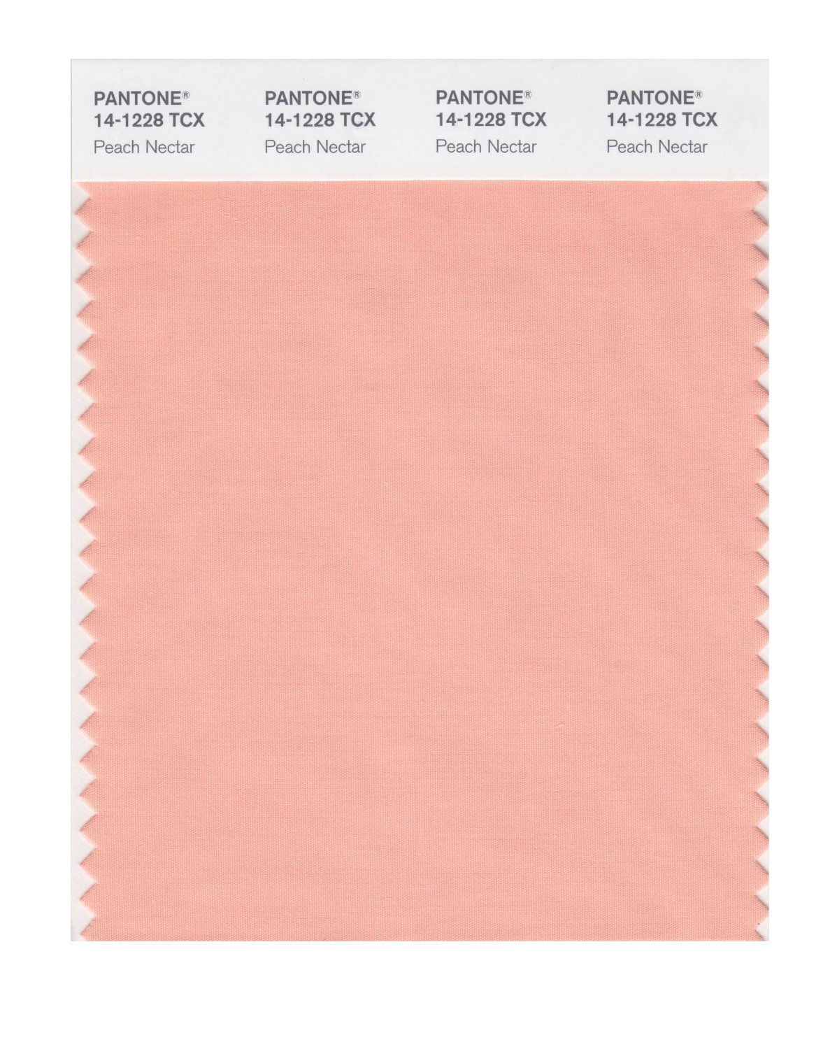 Pantone Cotton Swatch 14-1228 Peach Nectar