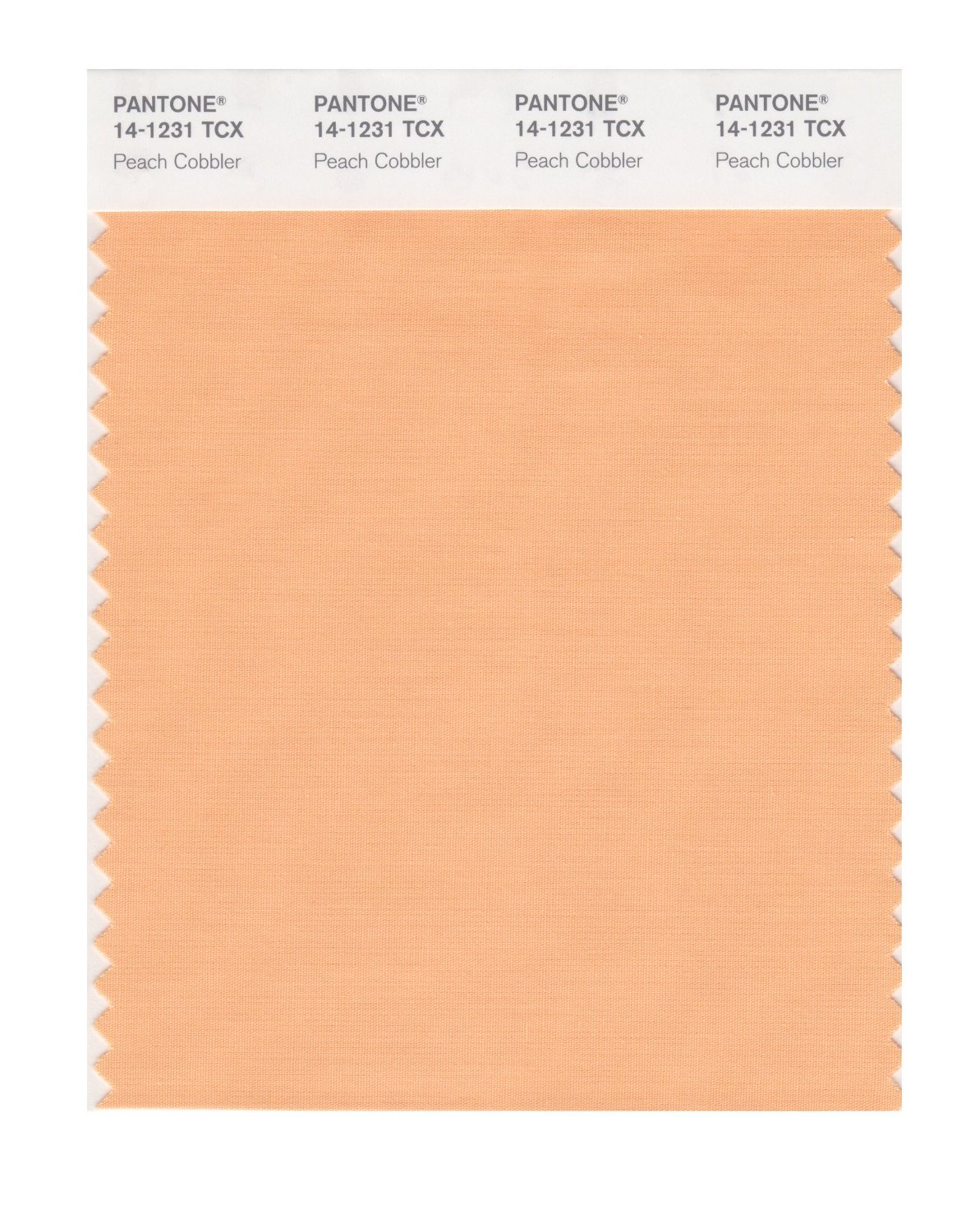 Pantone Cotton Swatch 14-1231 Peach Cobbler