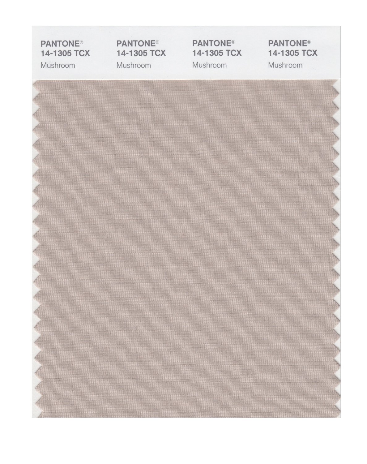 Pantone Cotton Swatch 14-1305 Mushroom