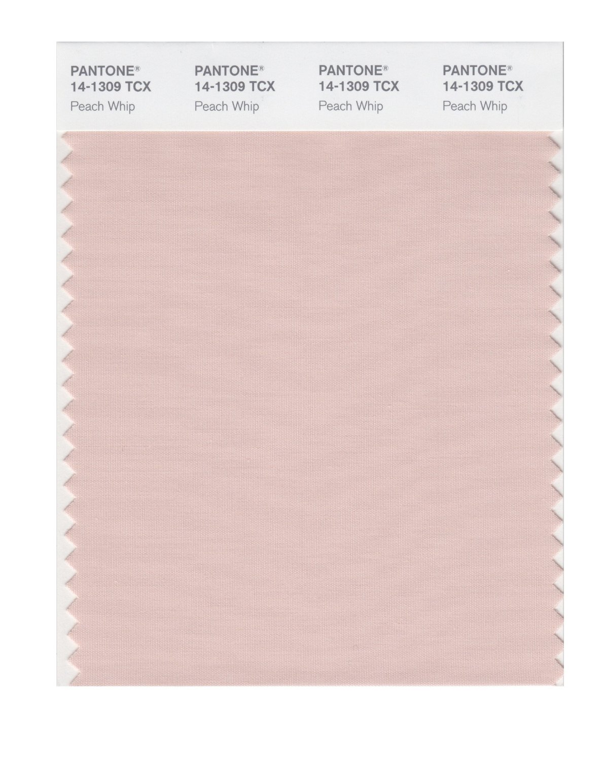 Pantone Cotton Swatch 14-1309 Peach Whip