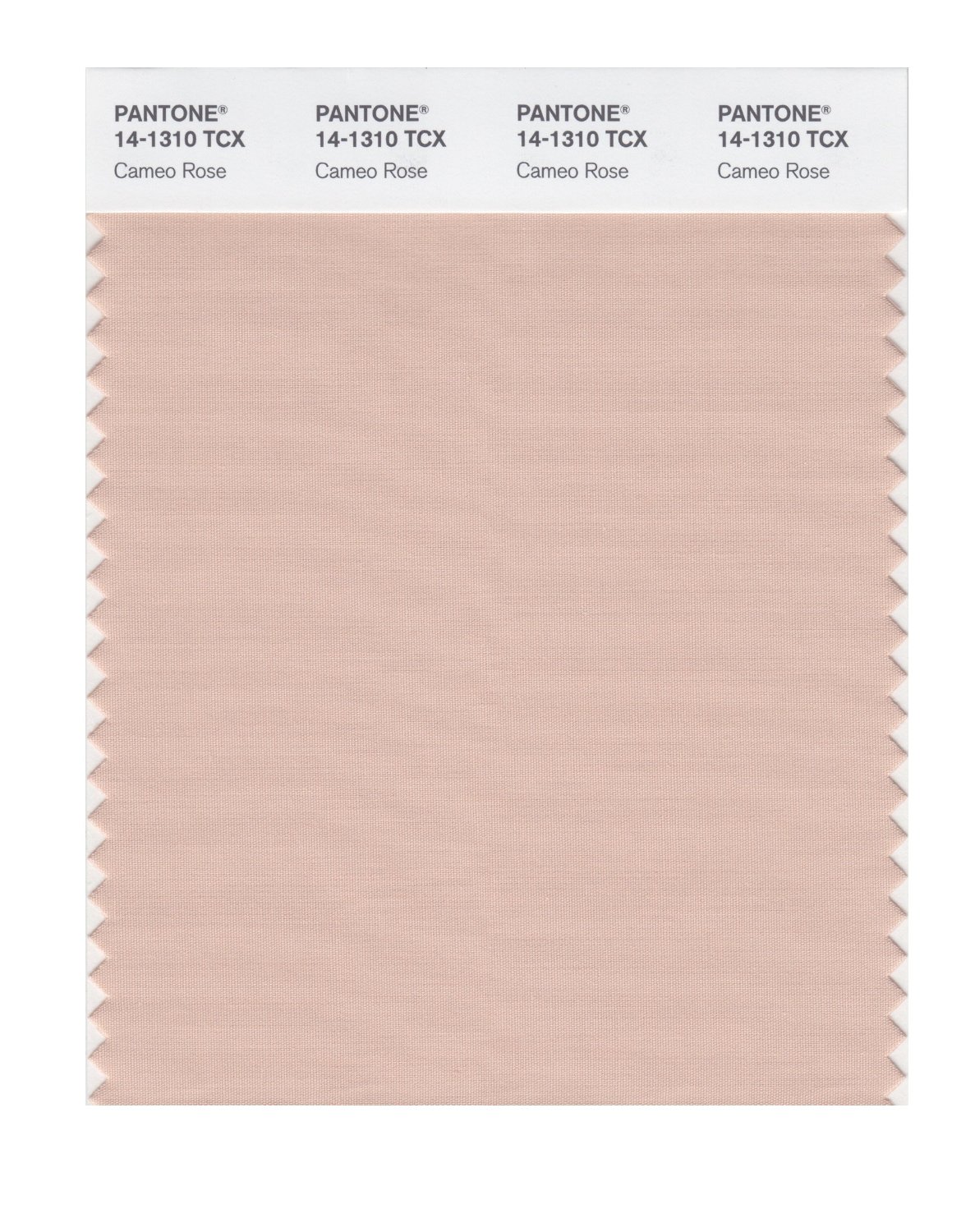 Pantone Cotton Swatch 14-1310 Cameo Rose