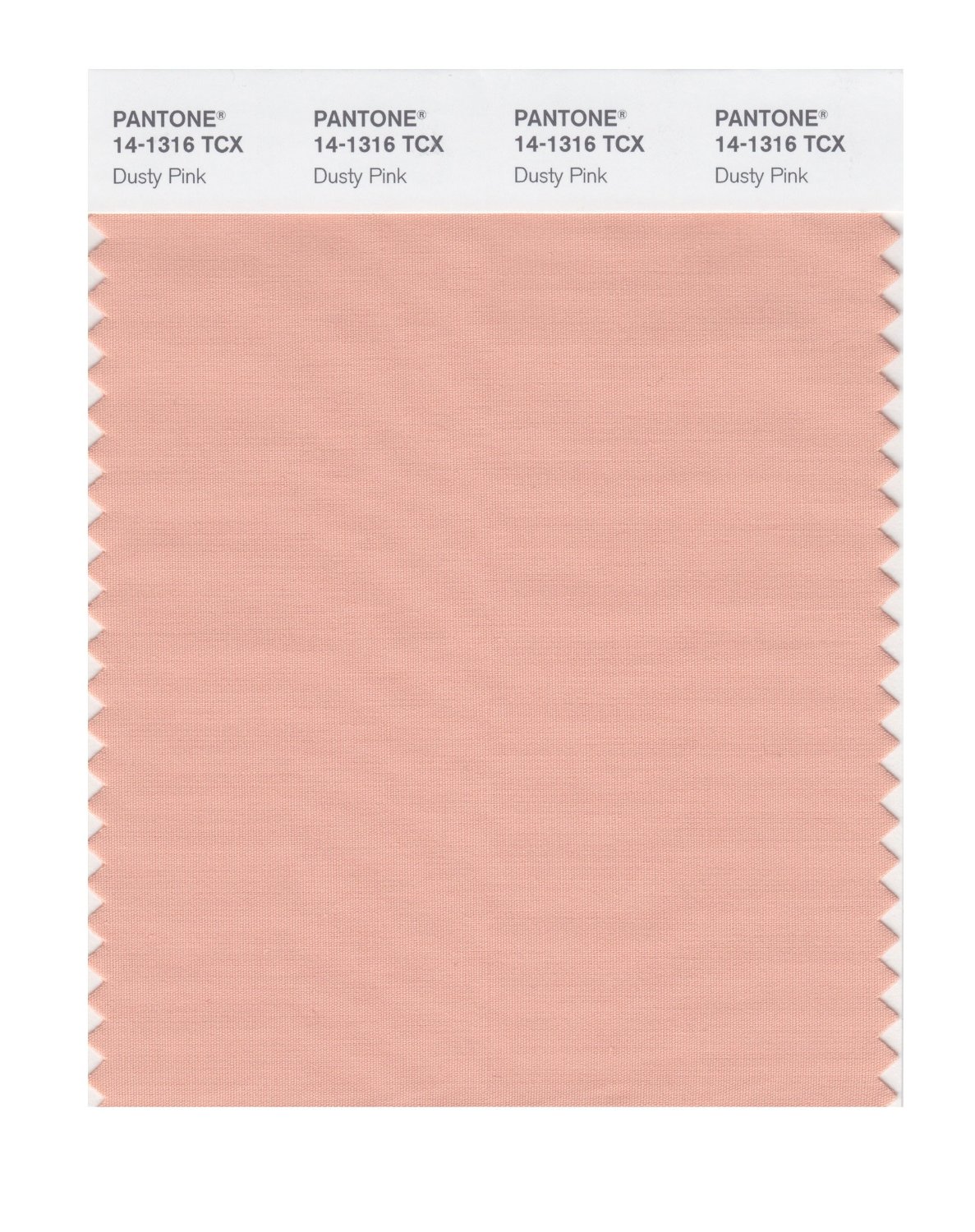 Pantone Cotton Swatch 14-1316 Dusty Pink