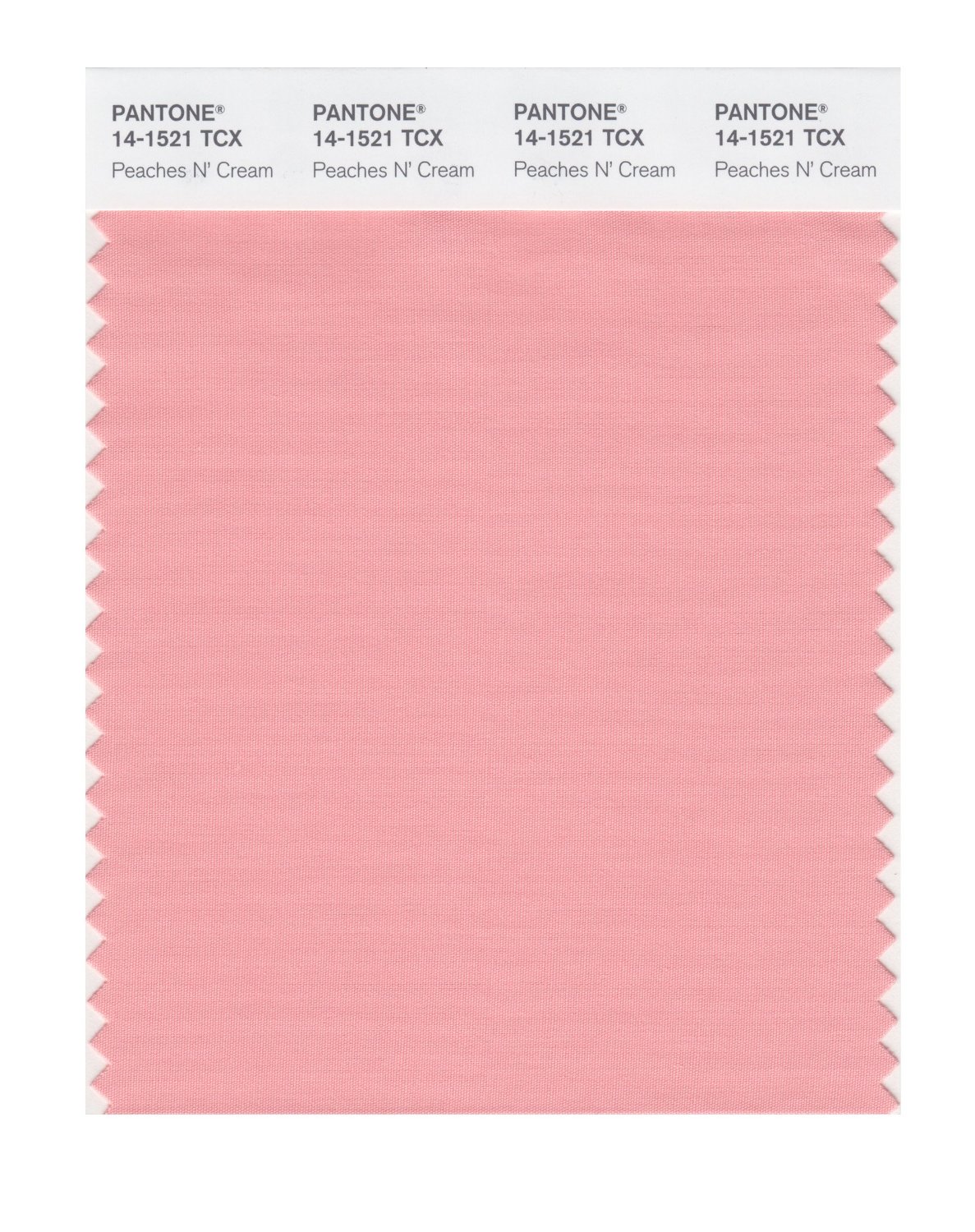 Pantone Cotton Swatch 14-1521 Peaches N' Crea