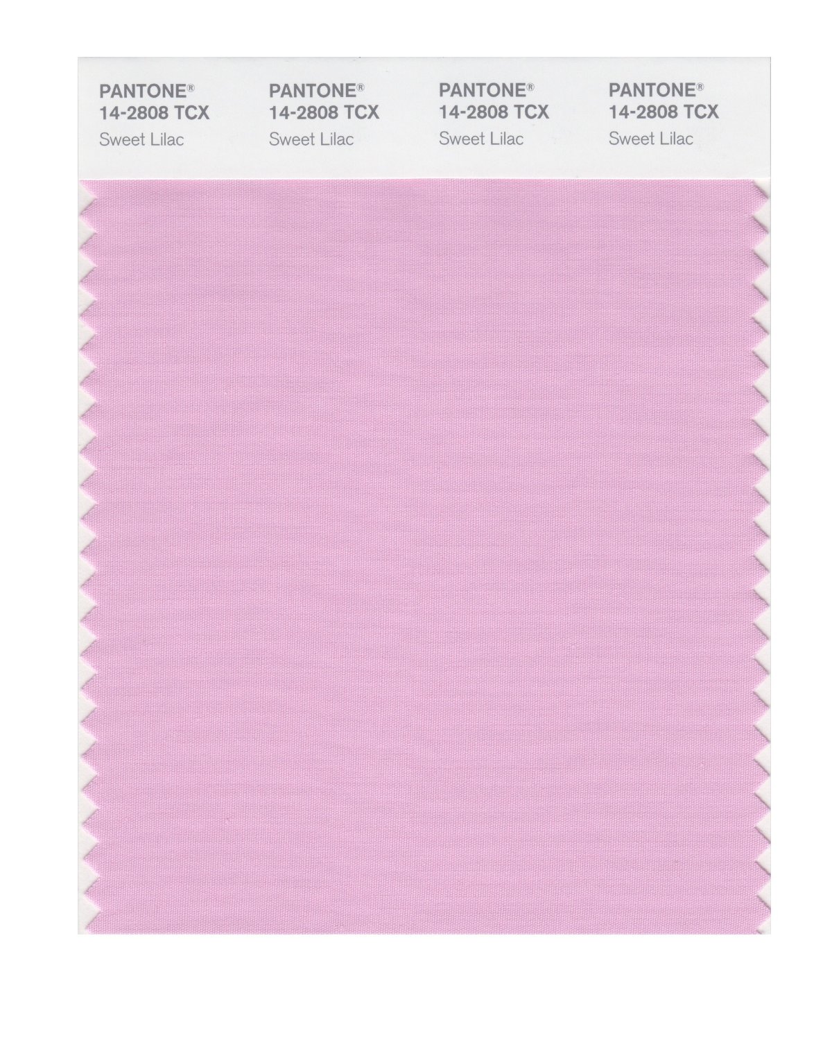 Pantone Cotton Swatch 14-2808 Sweet Lilac