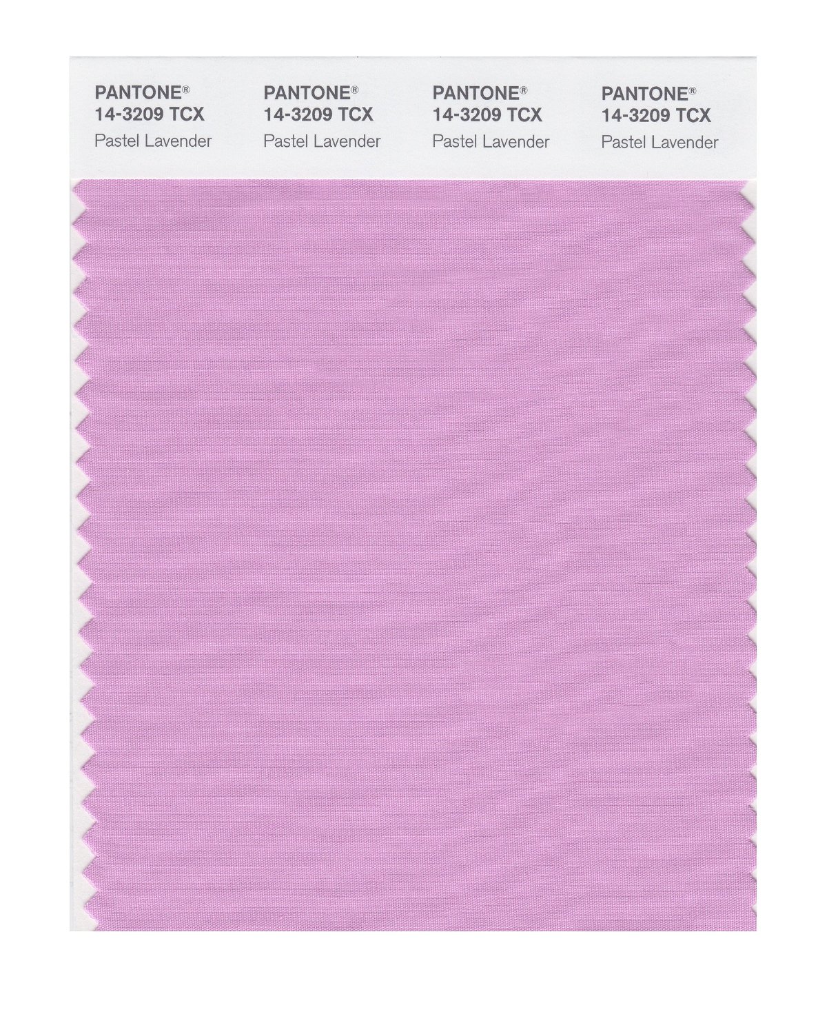 Pantone Cotton Swatch 14-3209 Pastel Lavender
