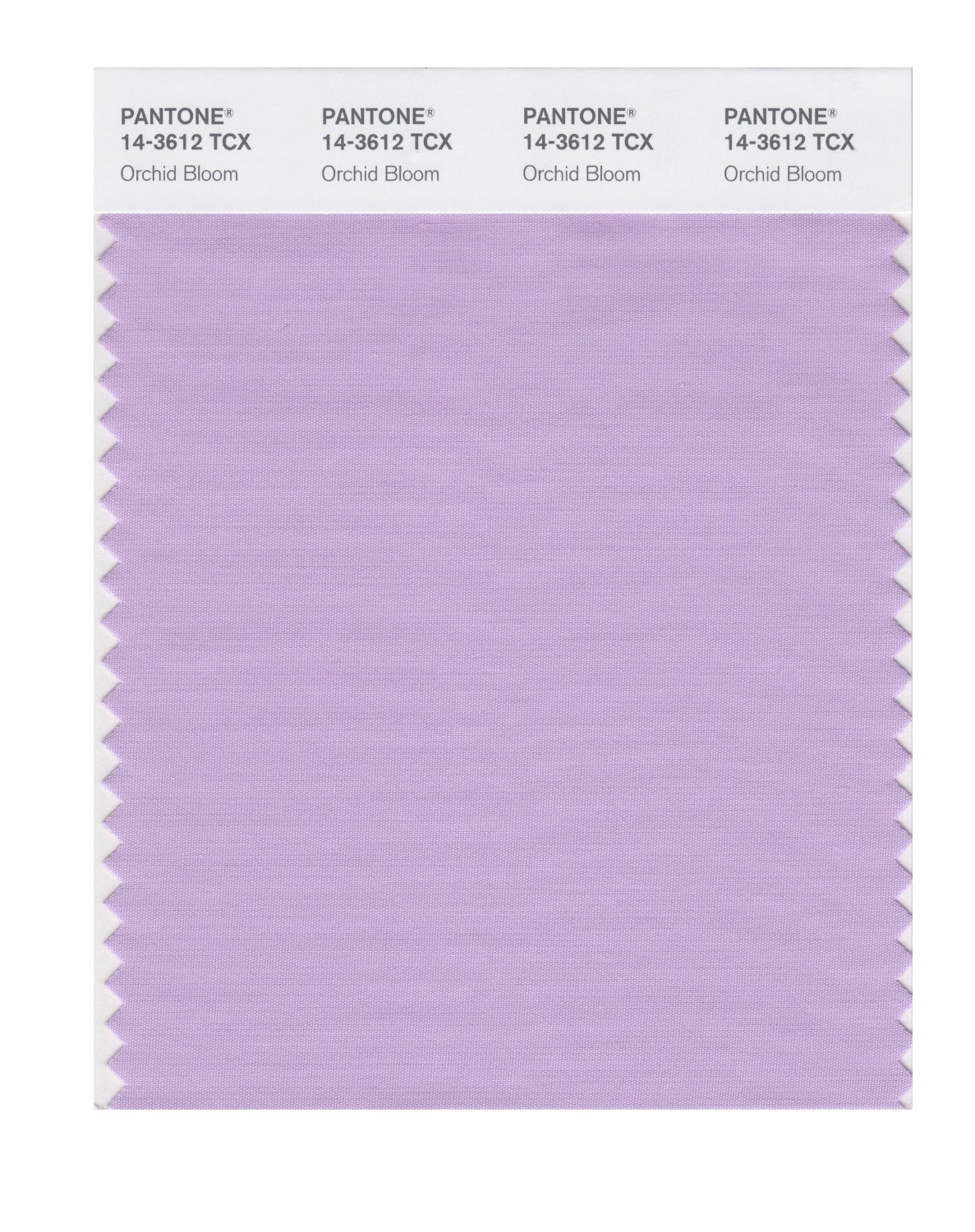 Pantone Cotton Swatch 14-3612 Orchid Bloom