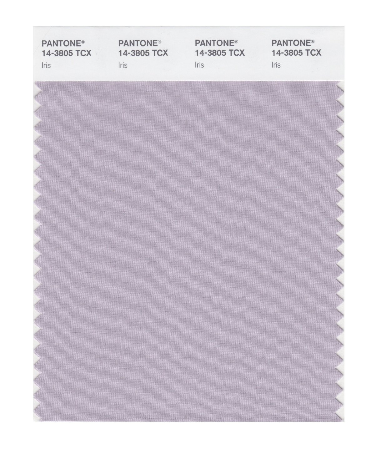 Pantone Cotton Swatch 14-3805 Iris