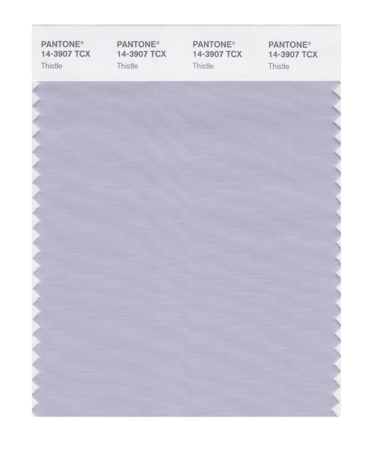 Pantone Cotton Swatch 14-3907 Thistle