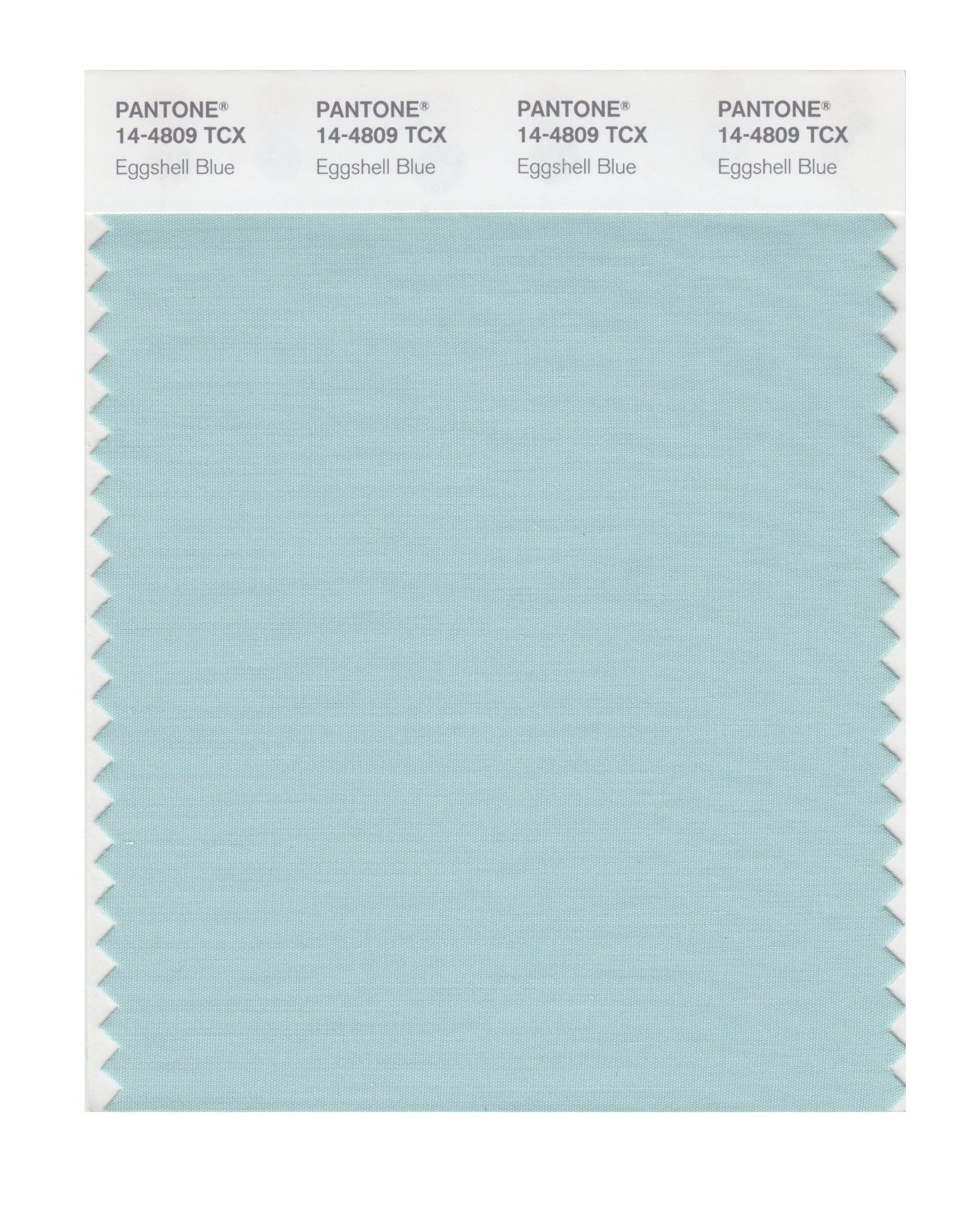 Pantone Cotton Swatch 14-4809 Eggshell Blue