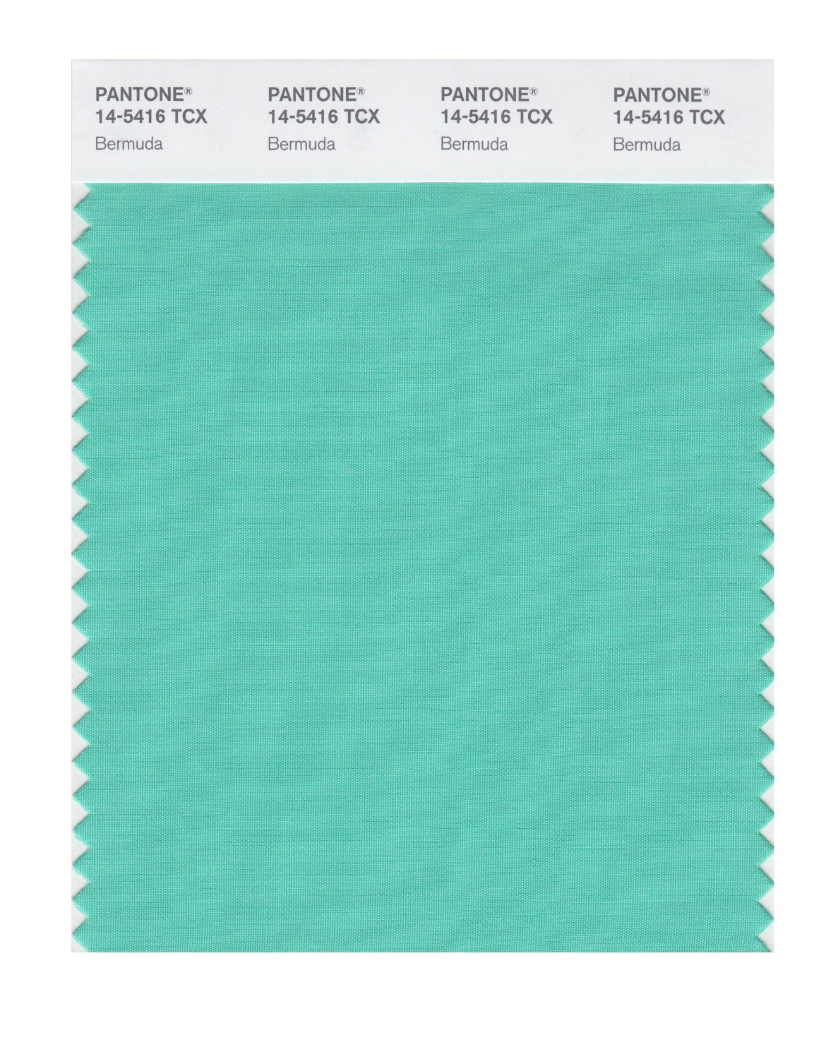 Pantone Cotton Swatch 14-5416 Bermuda