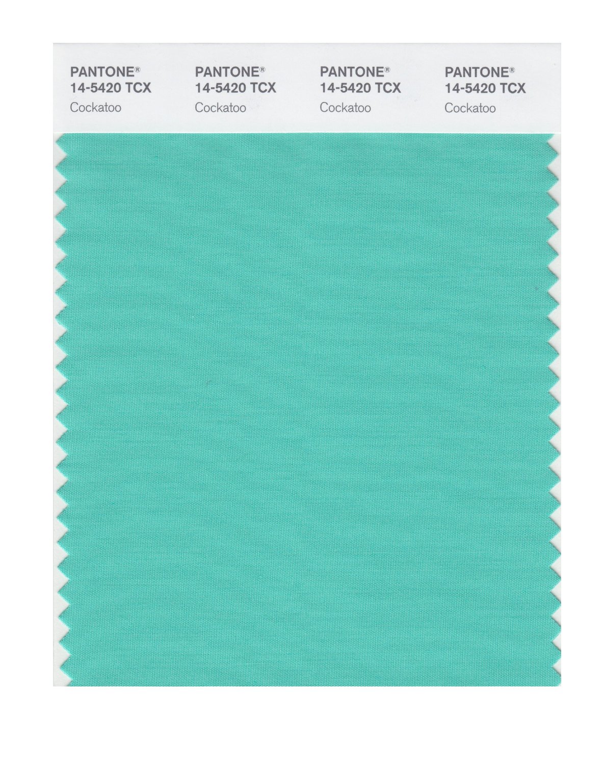 Pantone Cotton Swatch 14-5420 Cockatoo