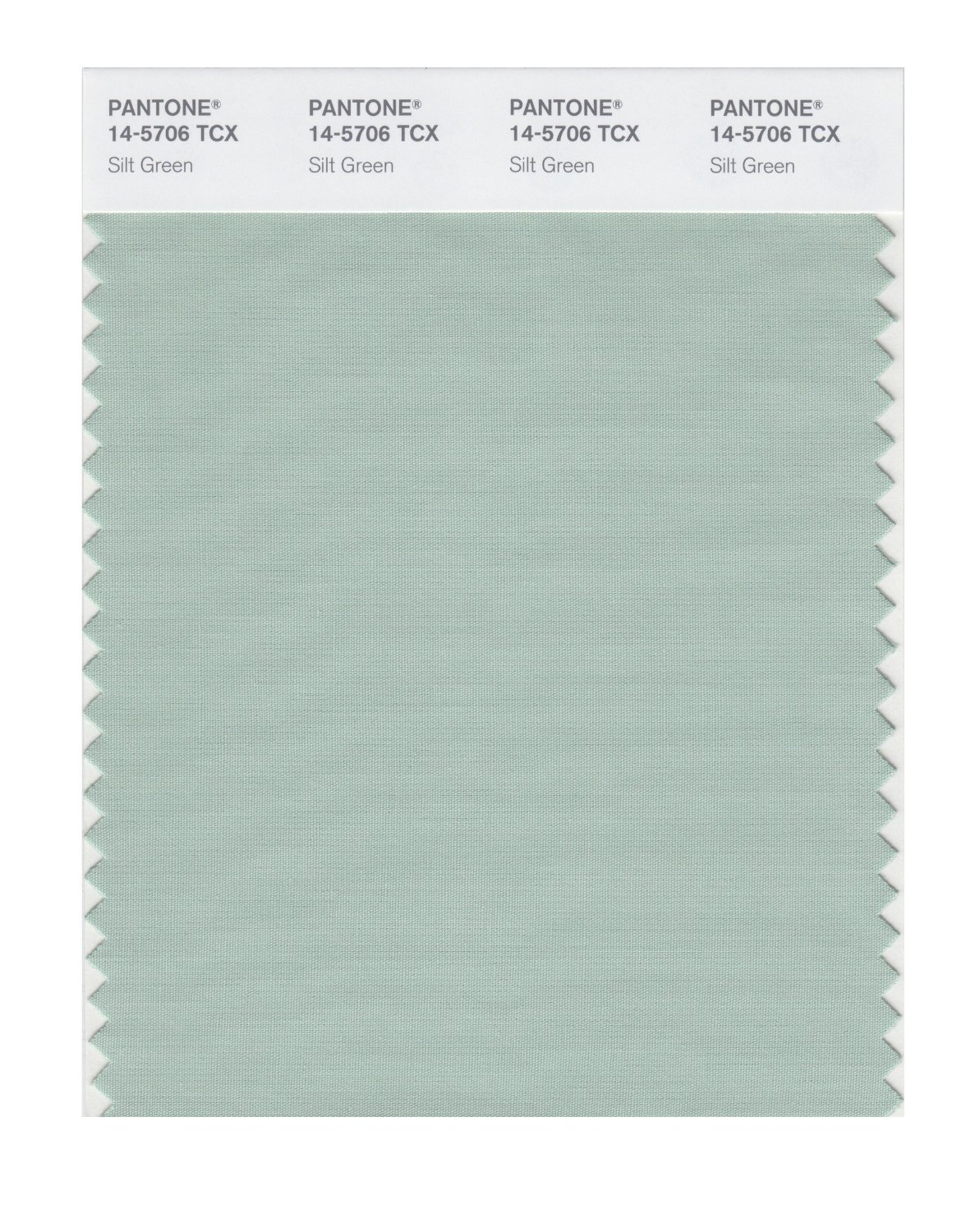 Pantone Cotton Swatch 14-5706 Silt Green