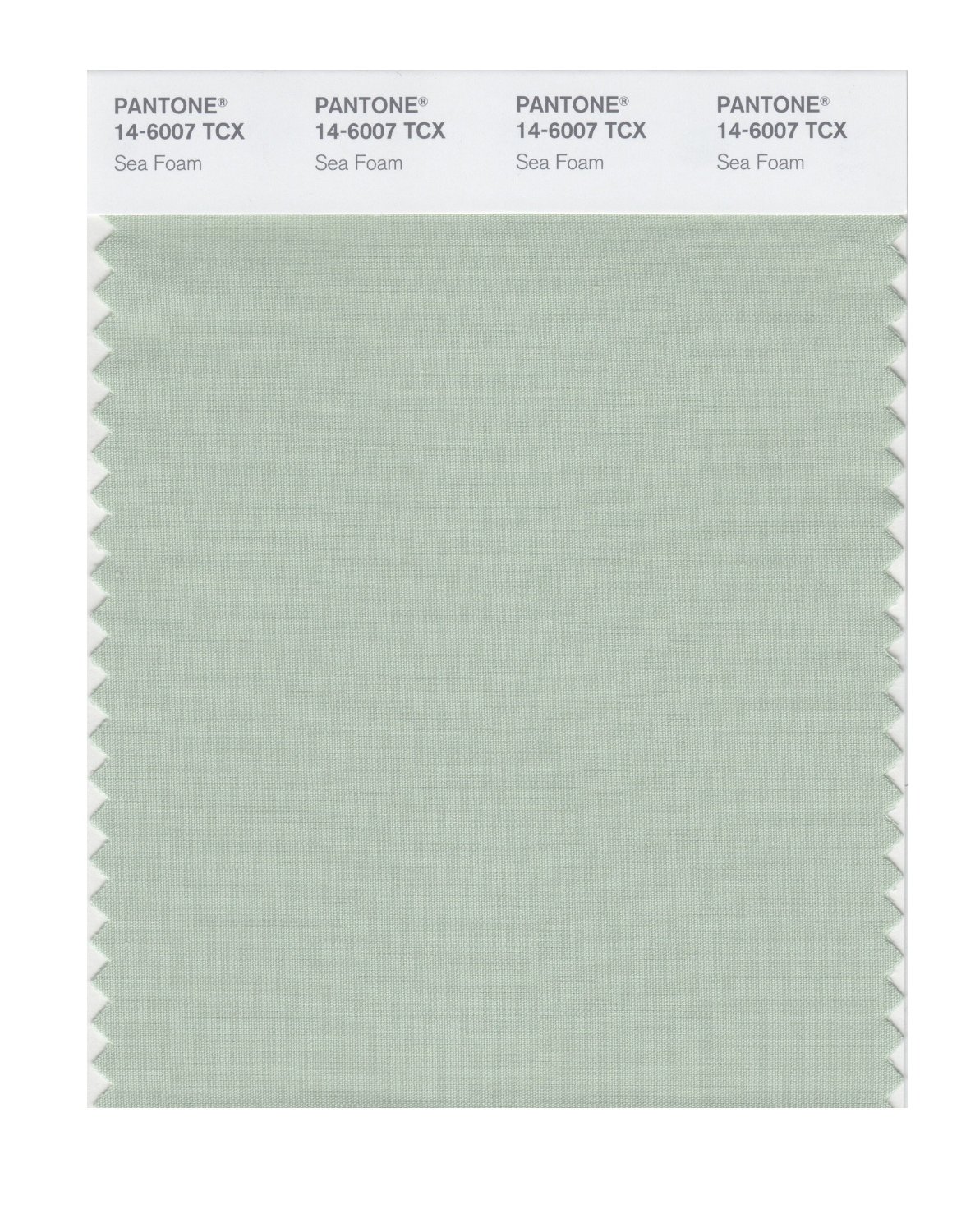 Pantone Cotton Swatch 14-6007 Sea Foam