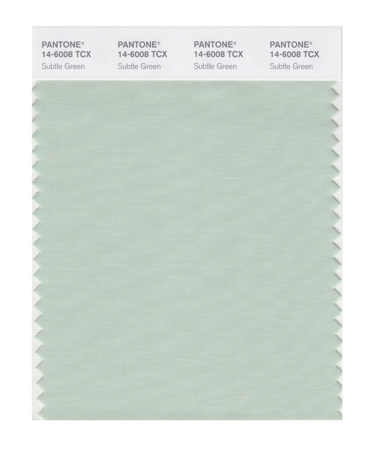 Pantone Cotton Swatch 14-6008 Subtle Green