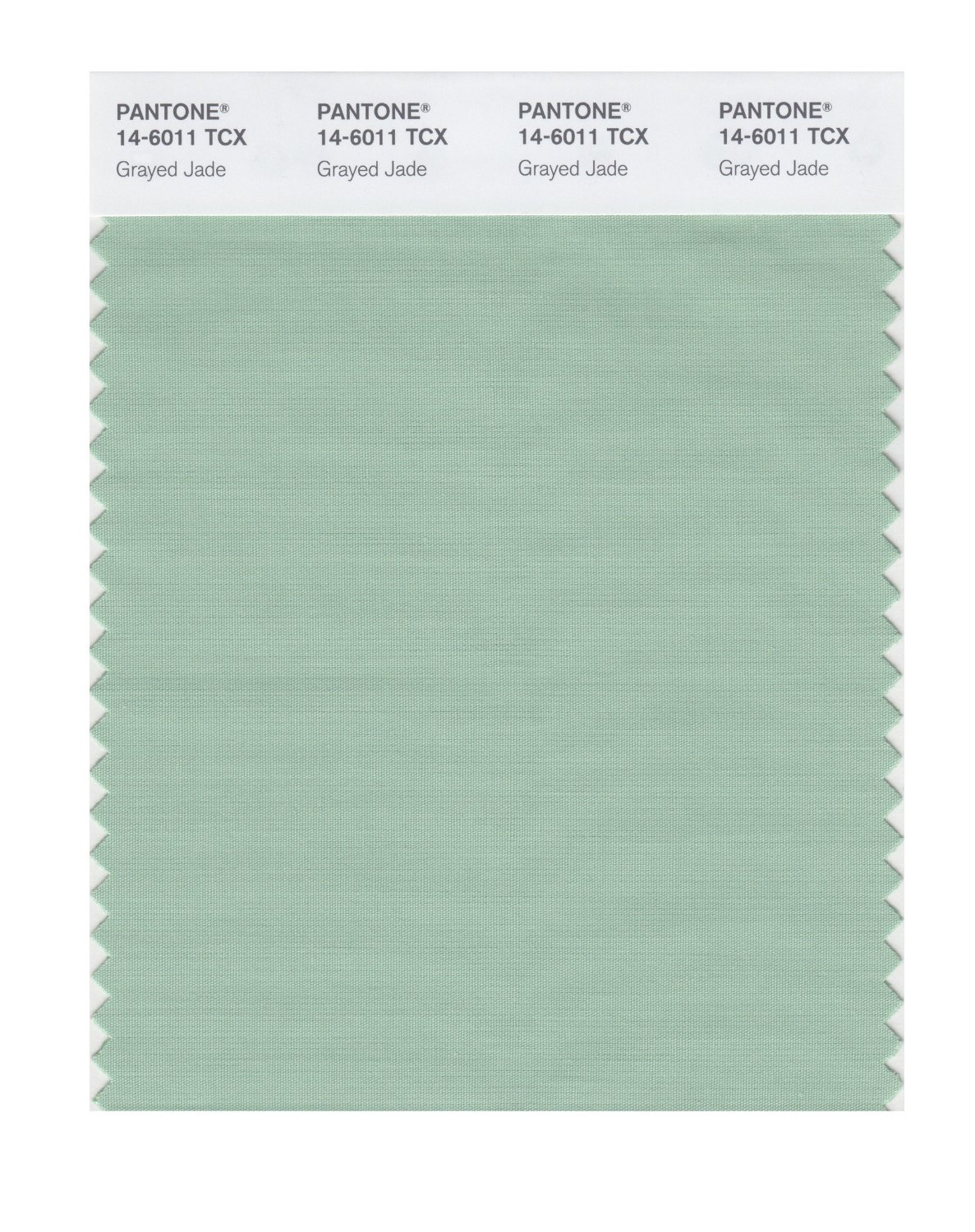 Pantone Cotton Swatch 14-6011 Grayed Jade