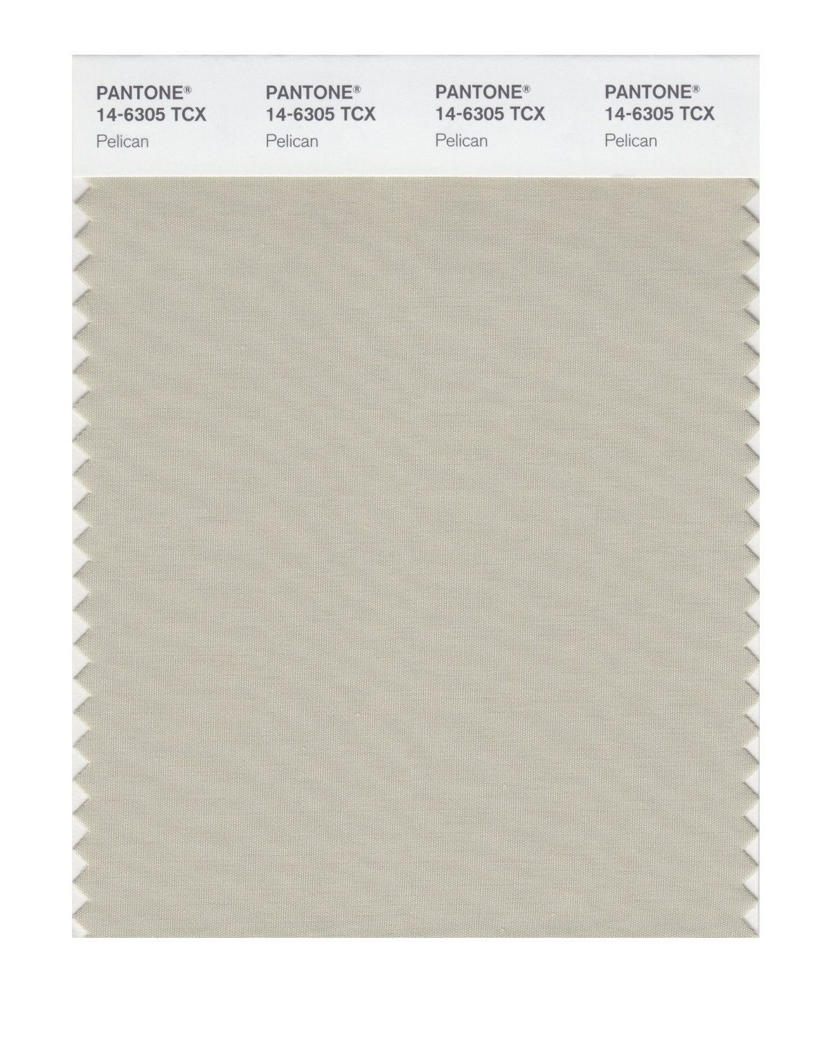 Pantone Cotton Swatch 14-6305 Pelican