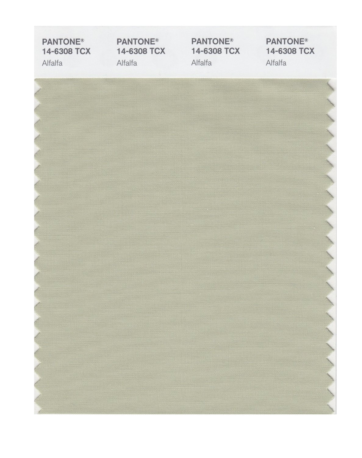 Pantone Cotton Swatch 14-6308 Alfalfa