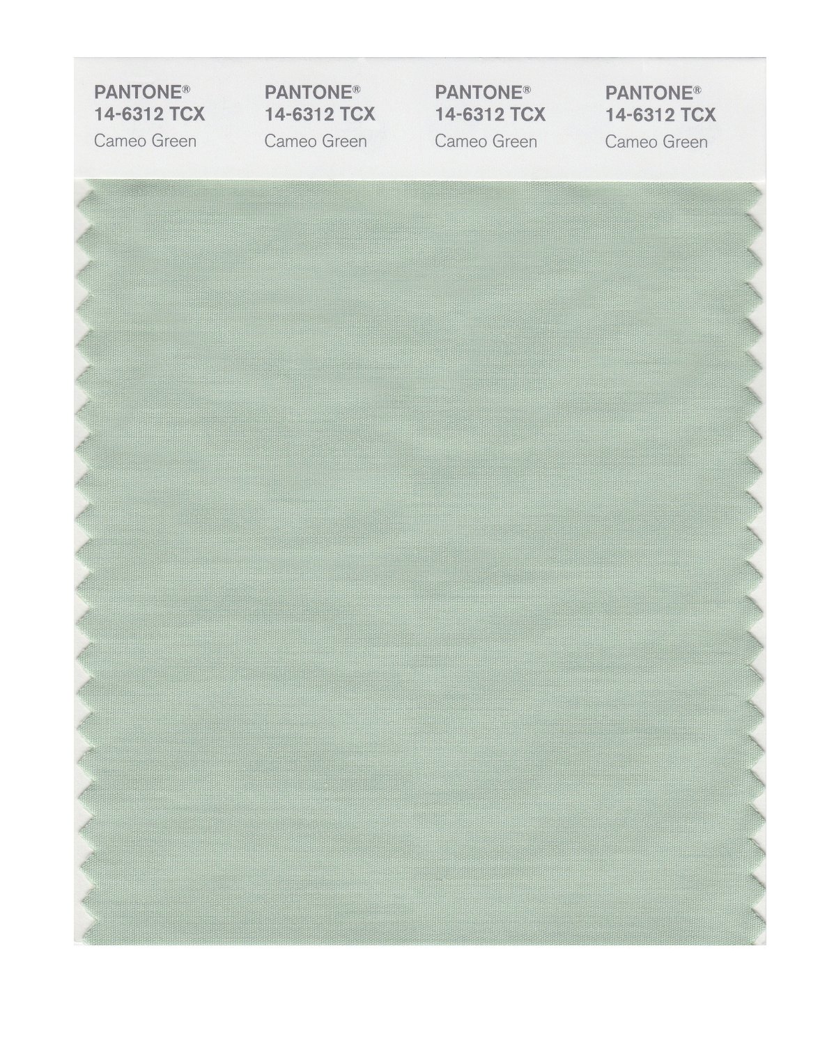 Pantone Cotton Swatch 14-6312 Cameo Green