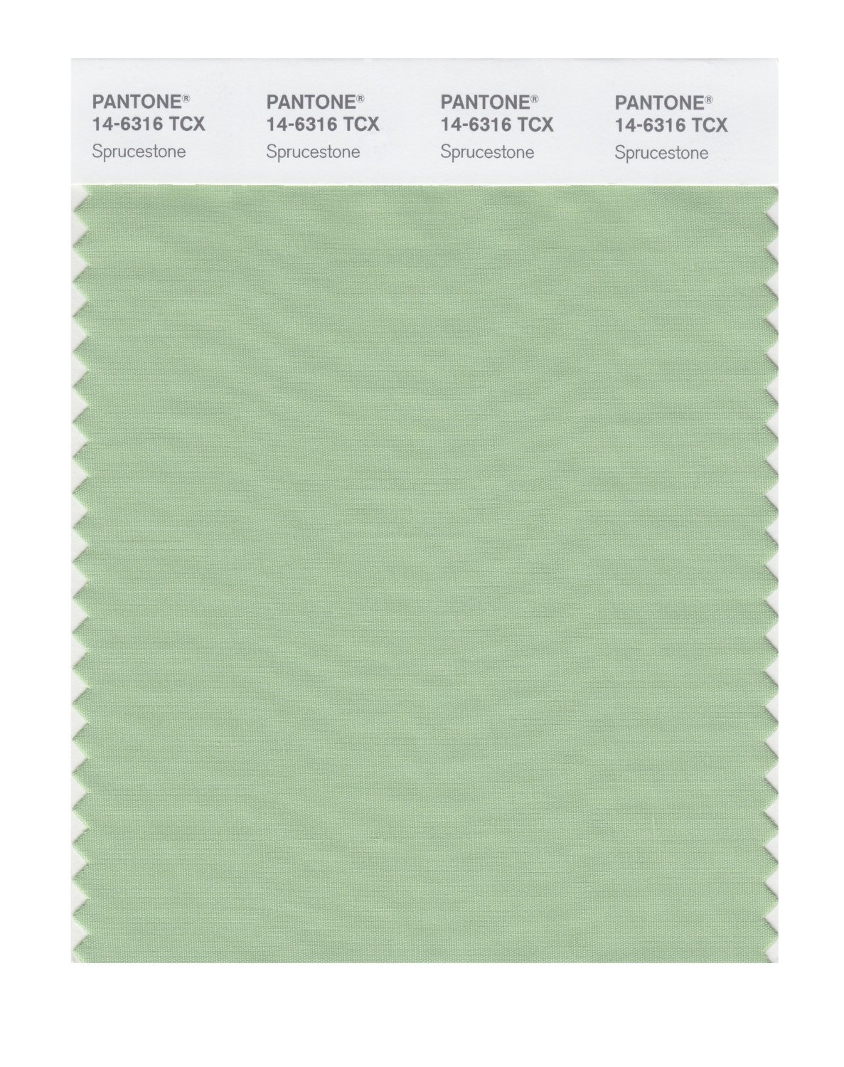 Pantone Cotton Swatch 14-6316 Sprucestone