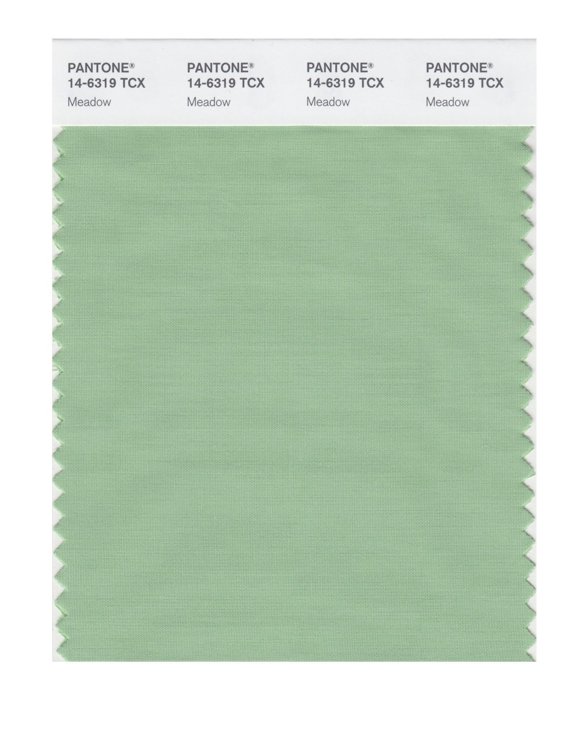 Pantone Cotton Swatch 14-6319 Meadow